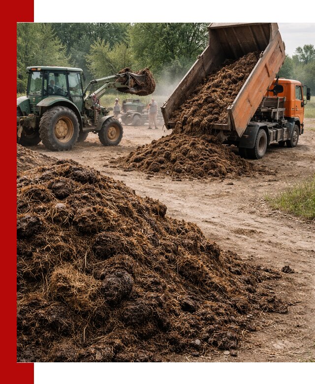Доставка навоза самосвалами в Людинове для сельхозпотребностей